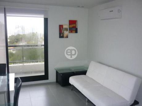 Departamento - Playa Brava