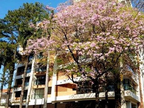 En Barrio Jara, Edificio Seguro Y Confortable Alquilo Dpto. De Un Dormitorio!!!