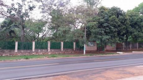Alquilo Inmueble De 1 Hectárea En Luque Sobre Ruta Luque Aregua.