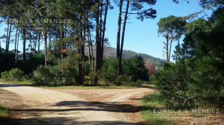 Terreno - Barrio Country