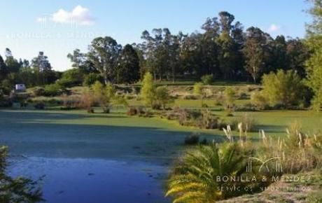 Campo Con Costa Al Santa Lucía