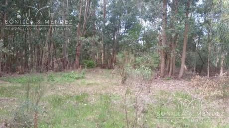 Terreno De Más De 5000m2 En Bella Vista