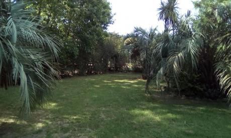 Casa - Barros Blancos