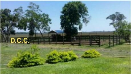 Estancia 1200 Ha. En 25 De Diciembre