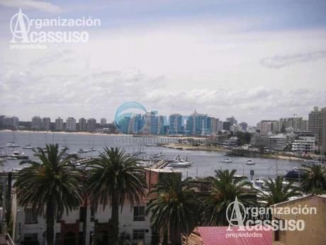 Punta Del Este - Departamento Alq. Febrero Usd 3.000 (men.)