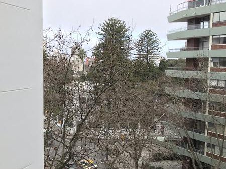Departamento - Pocitos