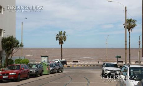 Hermoso Monoambiente A 1 Cuadra De La Rambla