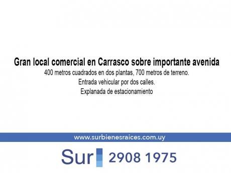 Local - Carrasco