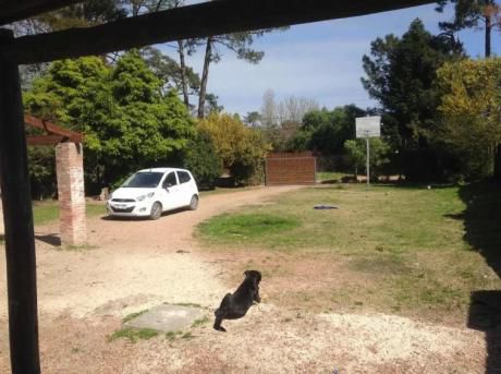 Casa - El Pinar