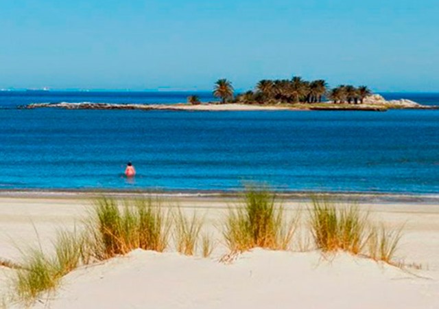 Proyecto destacado: Torre Arenas