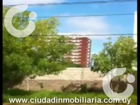 Terreno En Montevideo