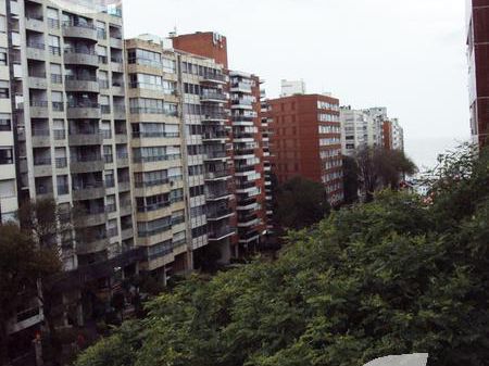 Departamento - Pocitos