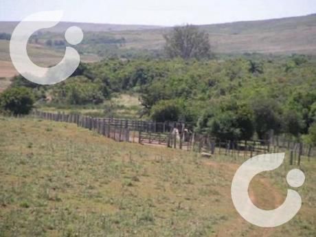 Chacra En Treinta Y Tres
