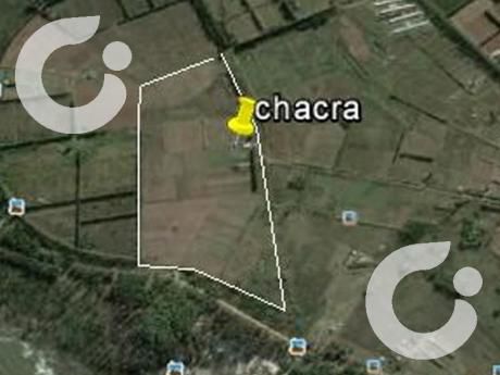 Chacra Punta Espinillo 12hec, Horticultura Excelente
