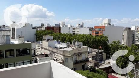 Departamento - Pocitos