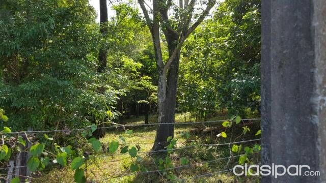 VENDO ESPECIAL PARA GRANJA 6HAS EN KM 8 MONDAY. REF FIPAR — foto 3