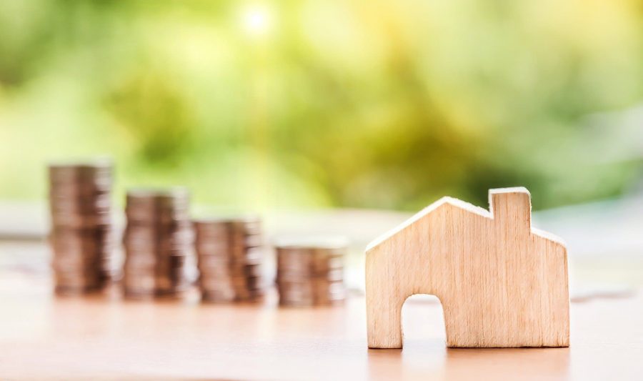  Puntos clave de la economía domestica  