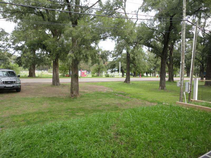 Foto 3 de 12