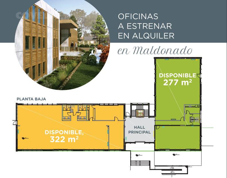 Alquiler de oficinas a estrenar en Avenida Córdoba, garage, estacionamiento cortesía y seguridad · Foto 7