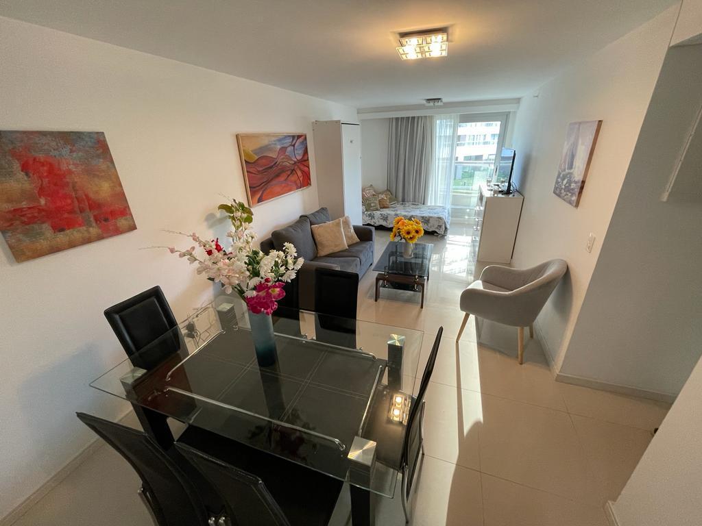 Apto playa brava, 1 dormitorio, terraza, parrillero, servicios