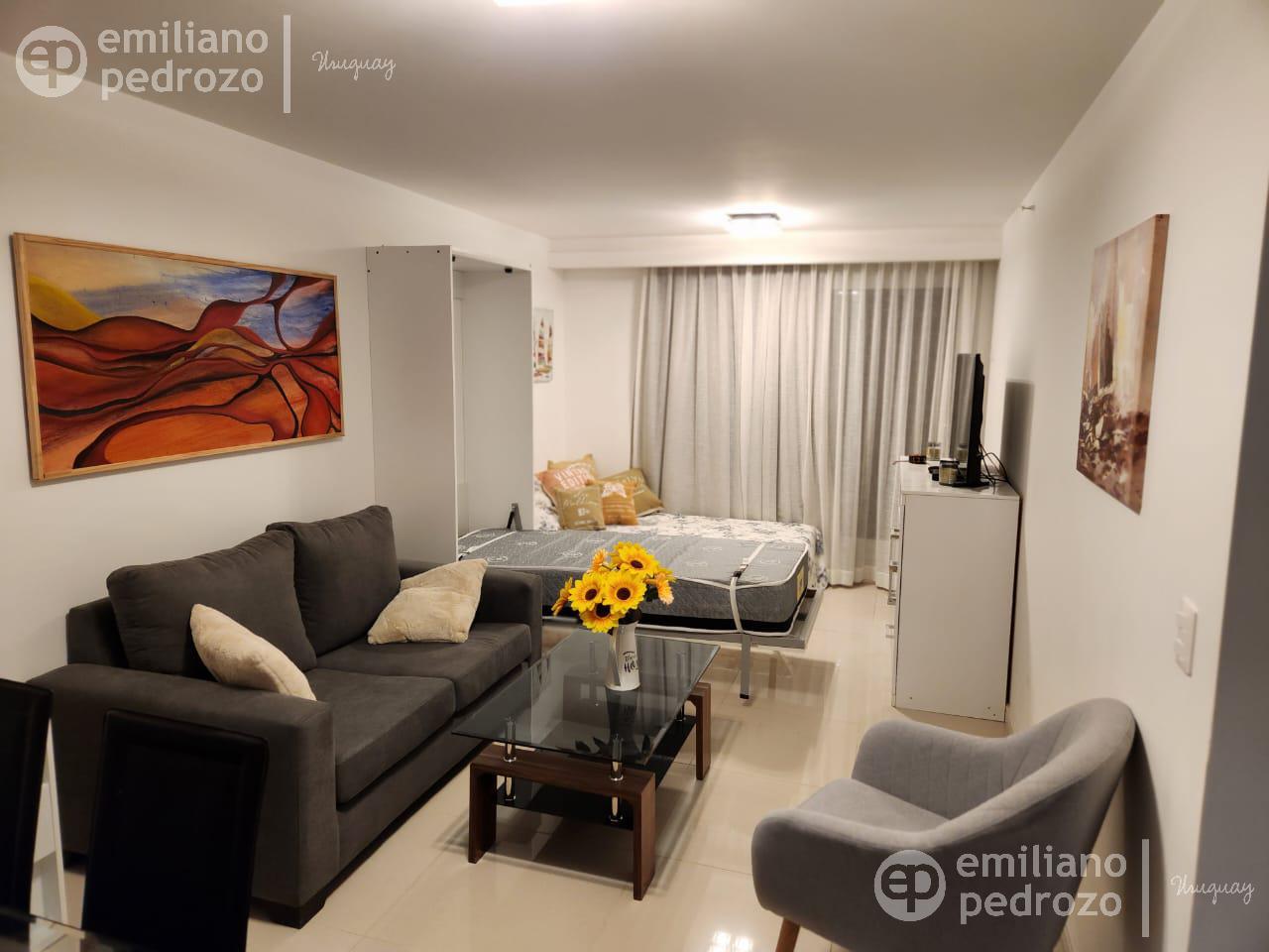 Departamento - Playa Brava