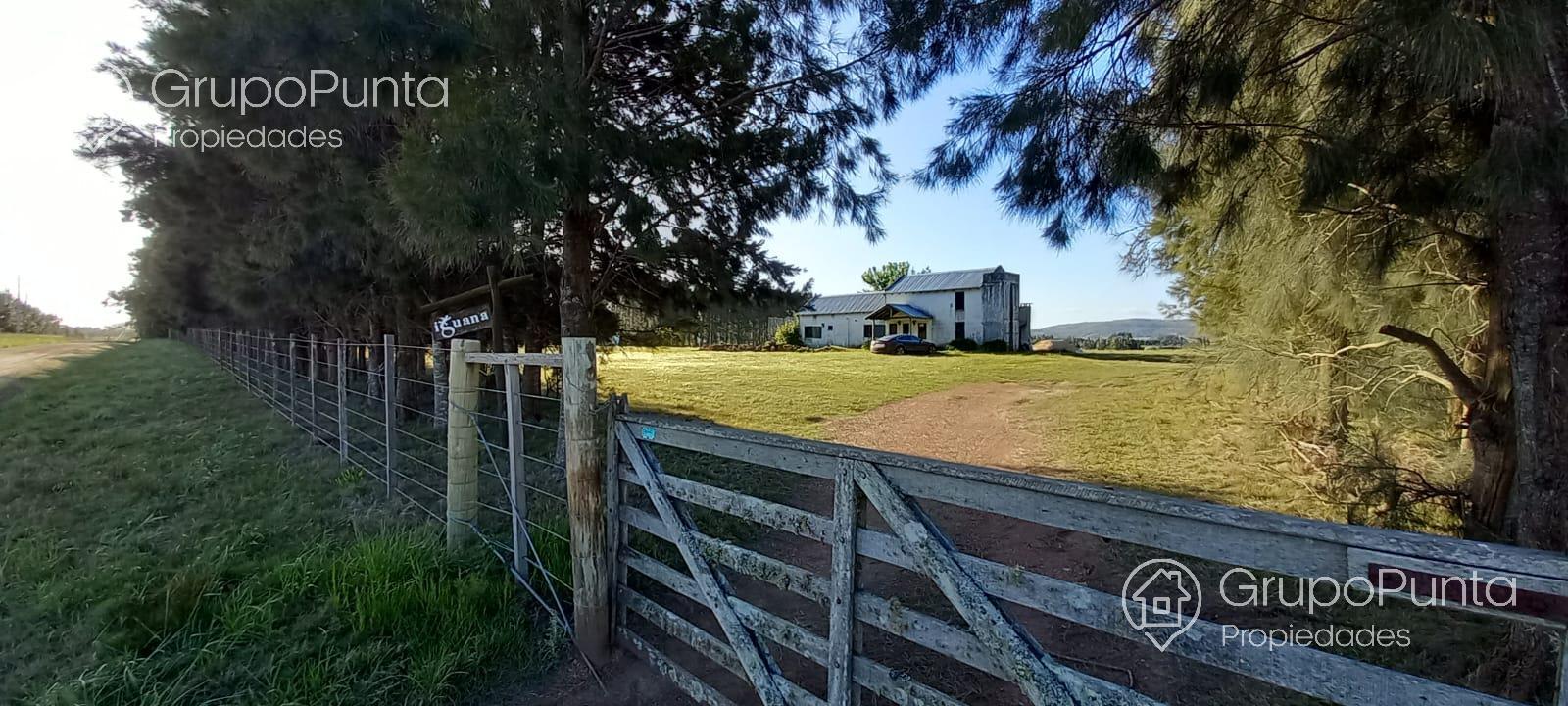 Chacra En Venta y Alquiler Anual Rural entre Ruta 9  y 12
