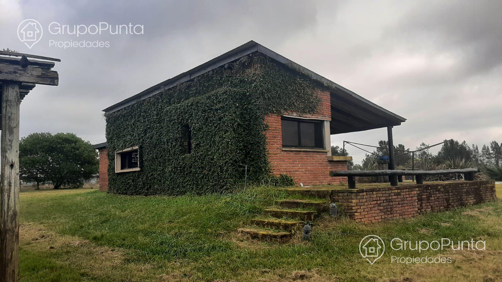 Chacra de 5 hectáreas en alquiler anual
