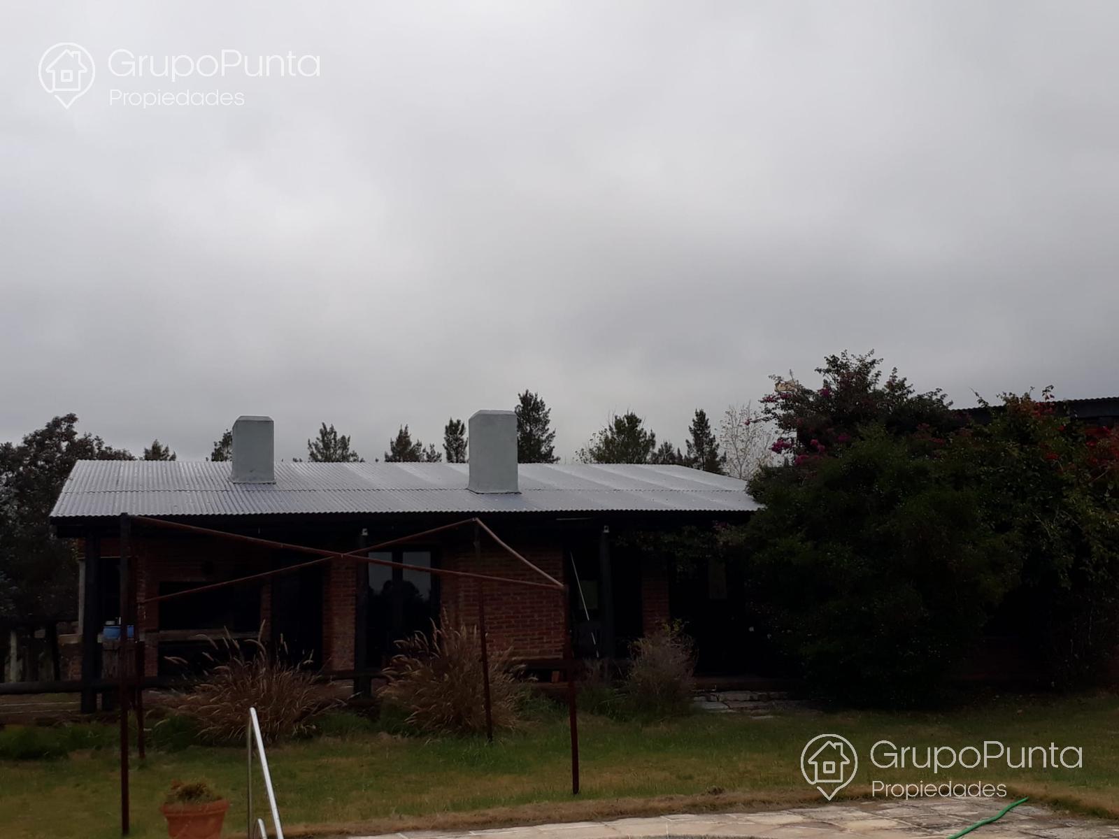 Chacra de 5 hectáreas en alquiler anual · Foto 12