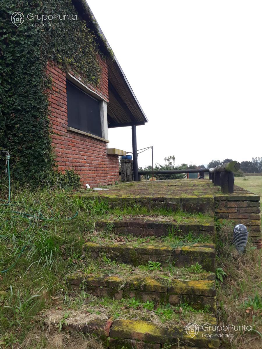 Chacra en alquiler anual de 5 hectáreas · Foto 3