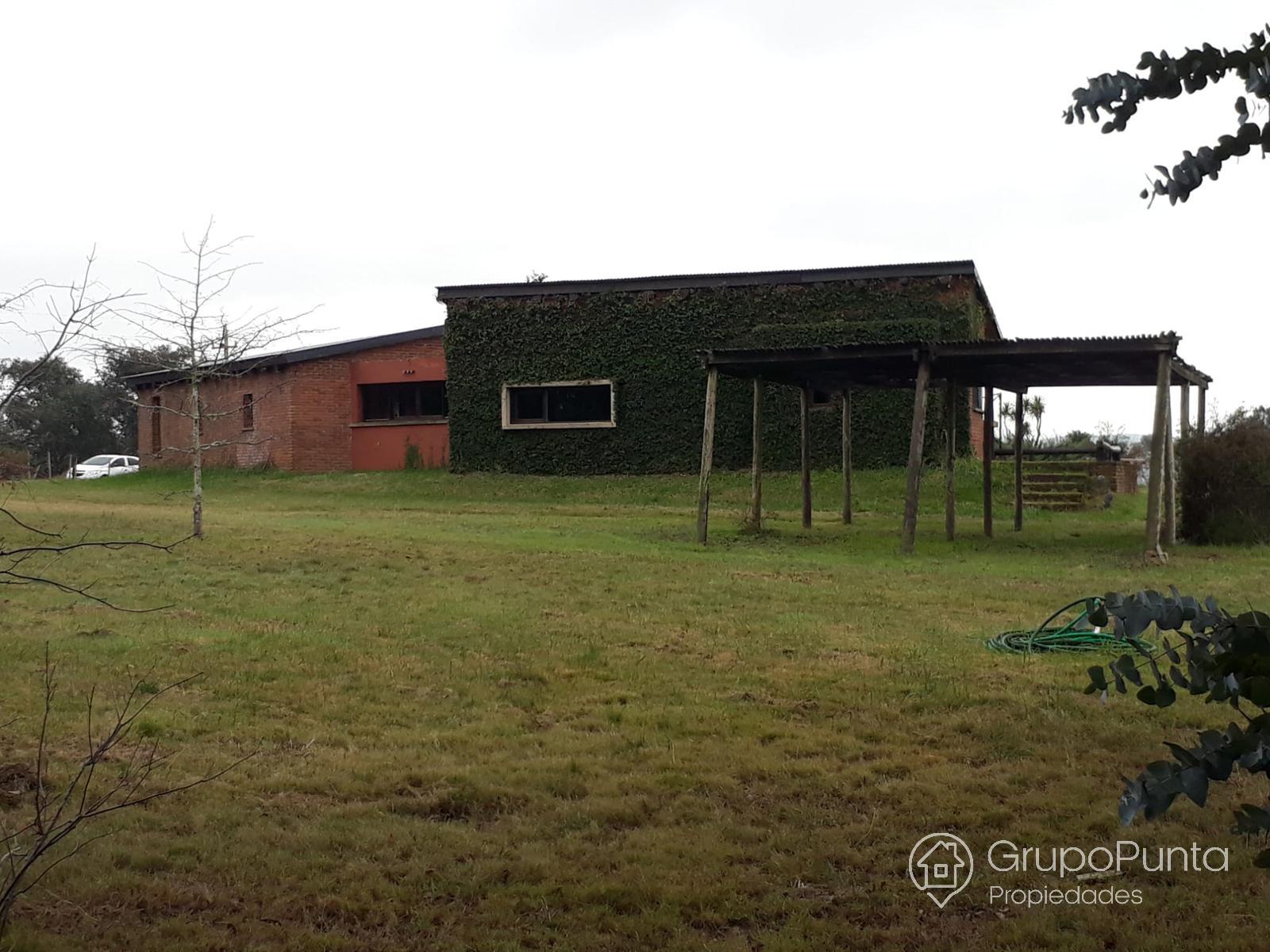 Chacra en alquiler anual de 5 hectáreas · Foto 5