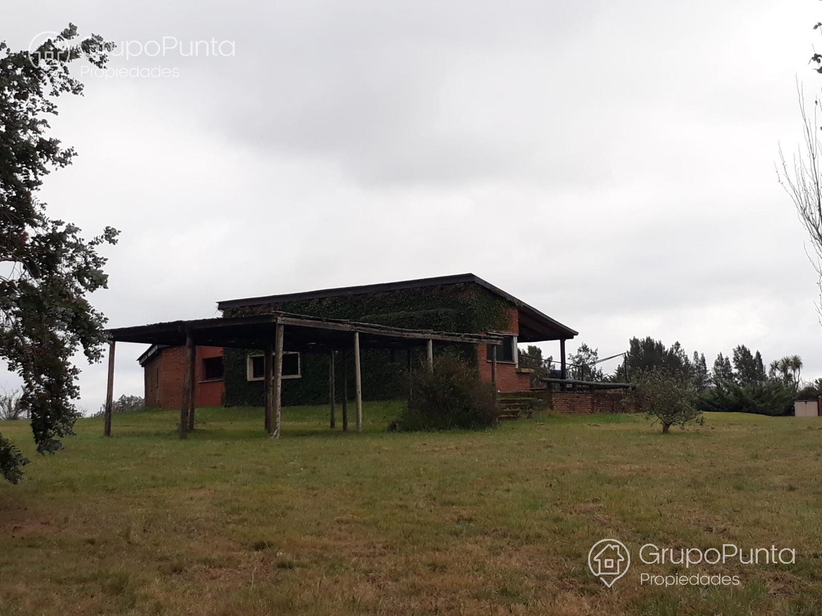 Chacra en alquiler anual de 5 hectáreas · Foto 6