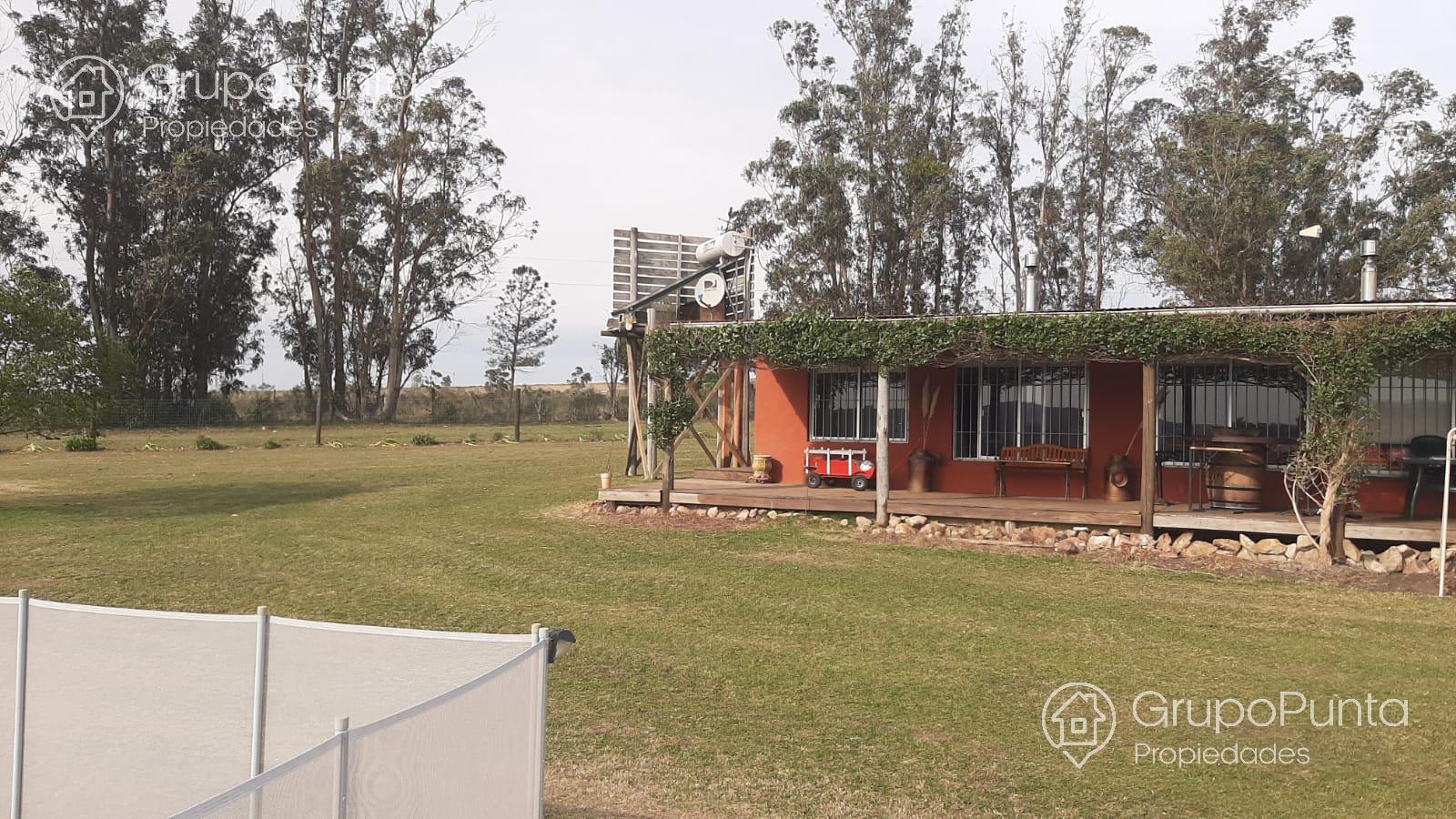Chacra De 5 Hectáreas Ruta 12 Alquiler Anual y Venta