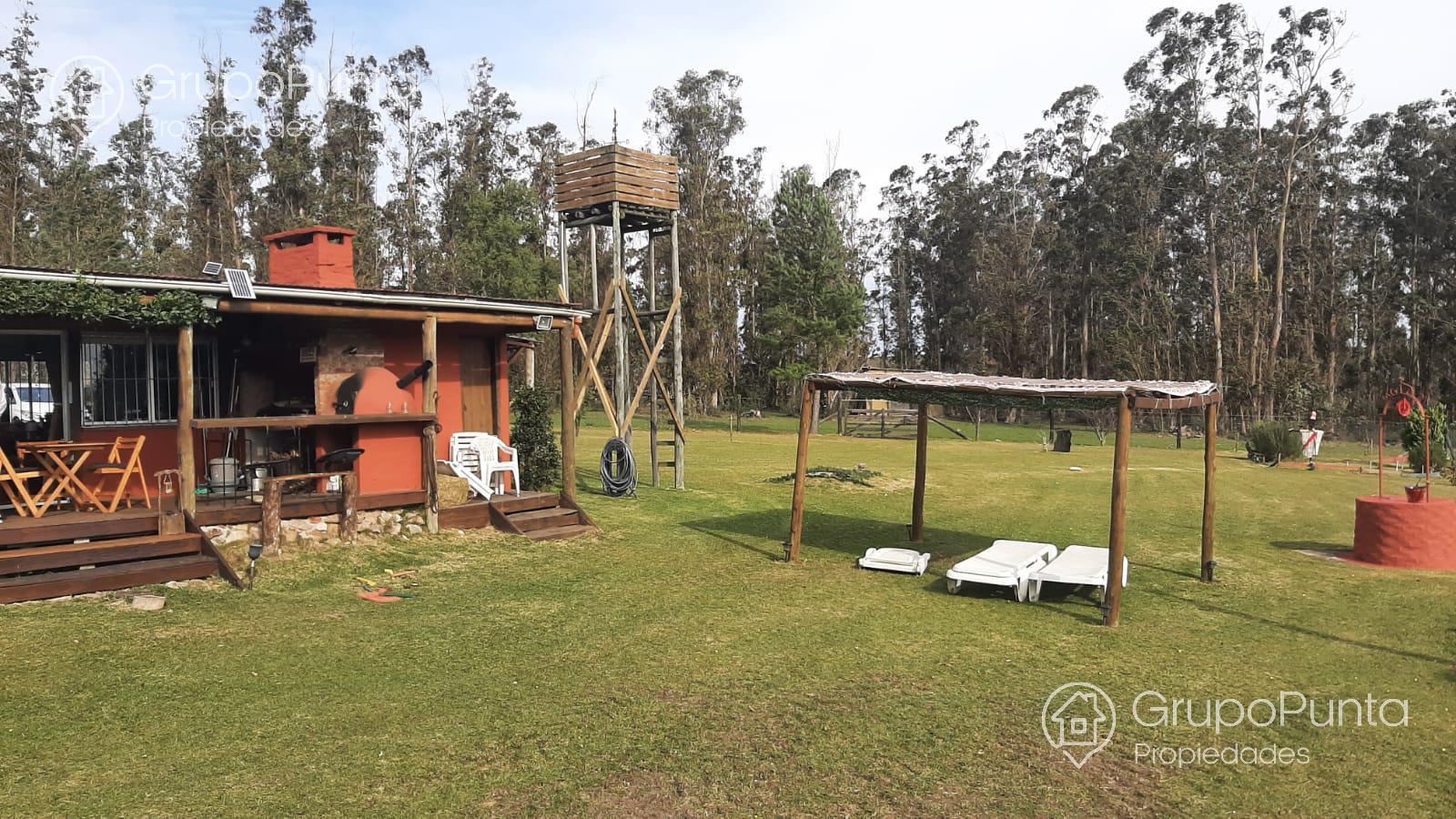 Chacra De 5 Hectáreas Ruta 12 Alquiler Anual y Venta · Foto 2