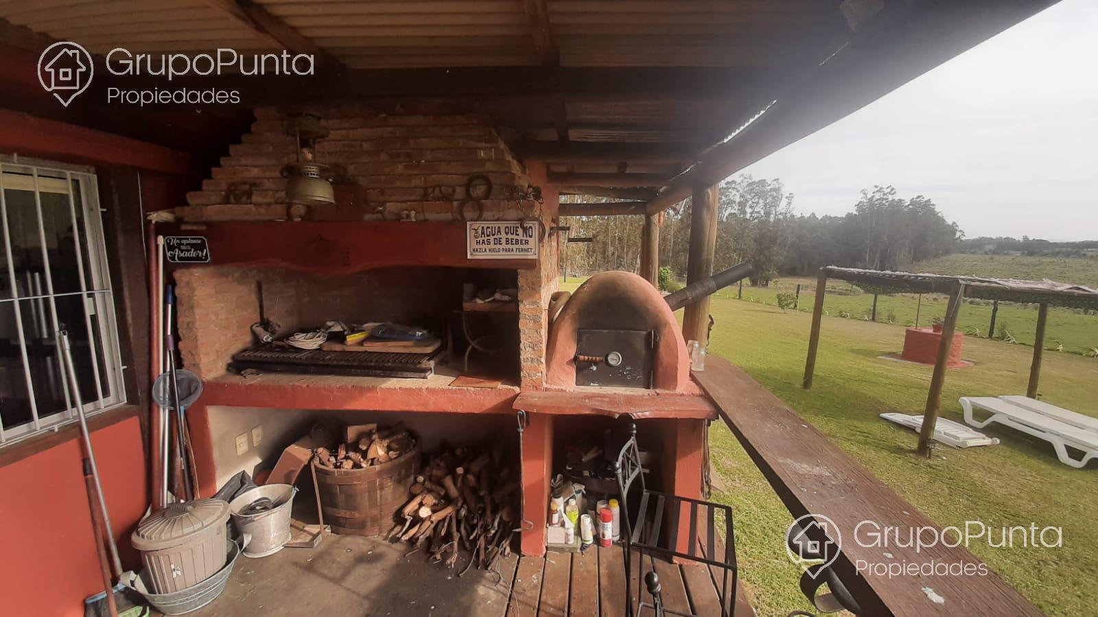 Chacra De 5 Hectáreas Ruta 12 Alquiler Anual y Venta · Foto 3