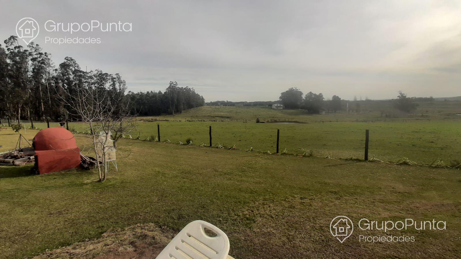 Chacra De 5 Hectáreas Ruta 12 Alquiler Anual y Venta · Foto 10