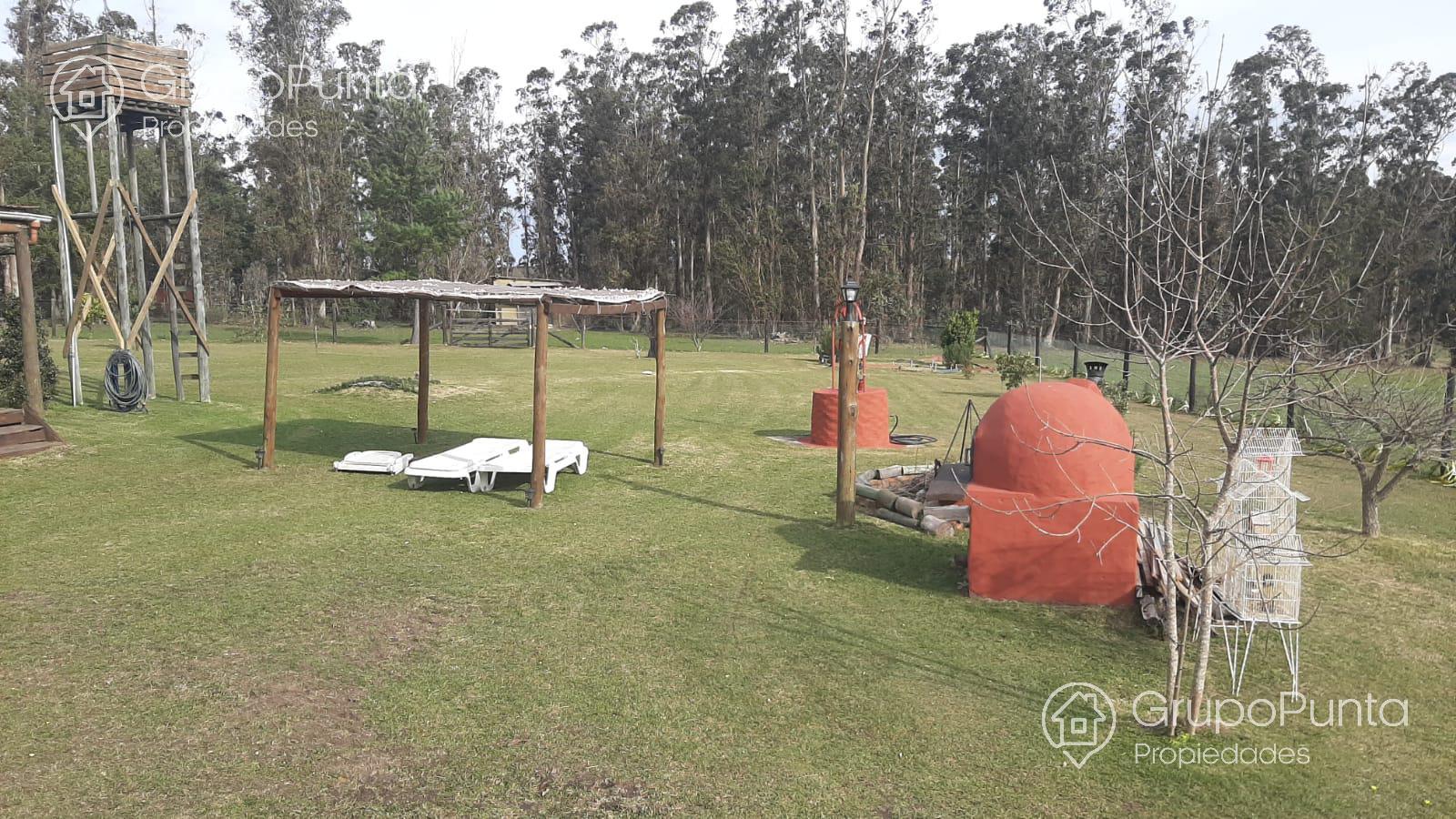 Chacra De 5 Hectáreas Ruta 12 Alquiler Anual y Venta · Foto 11