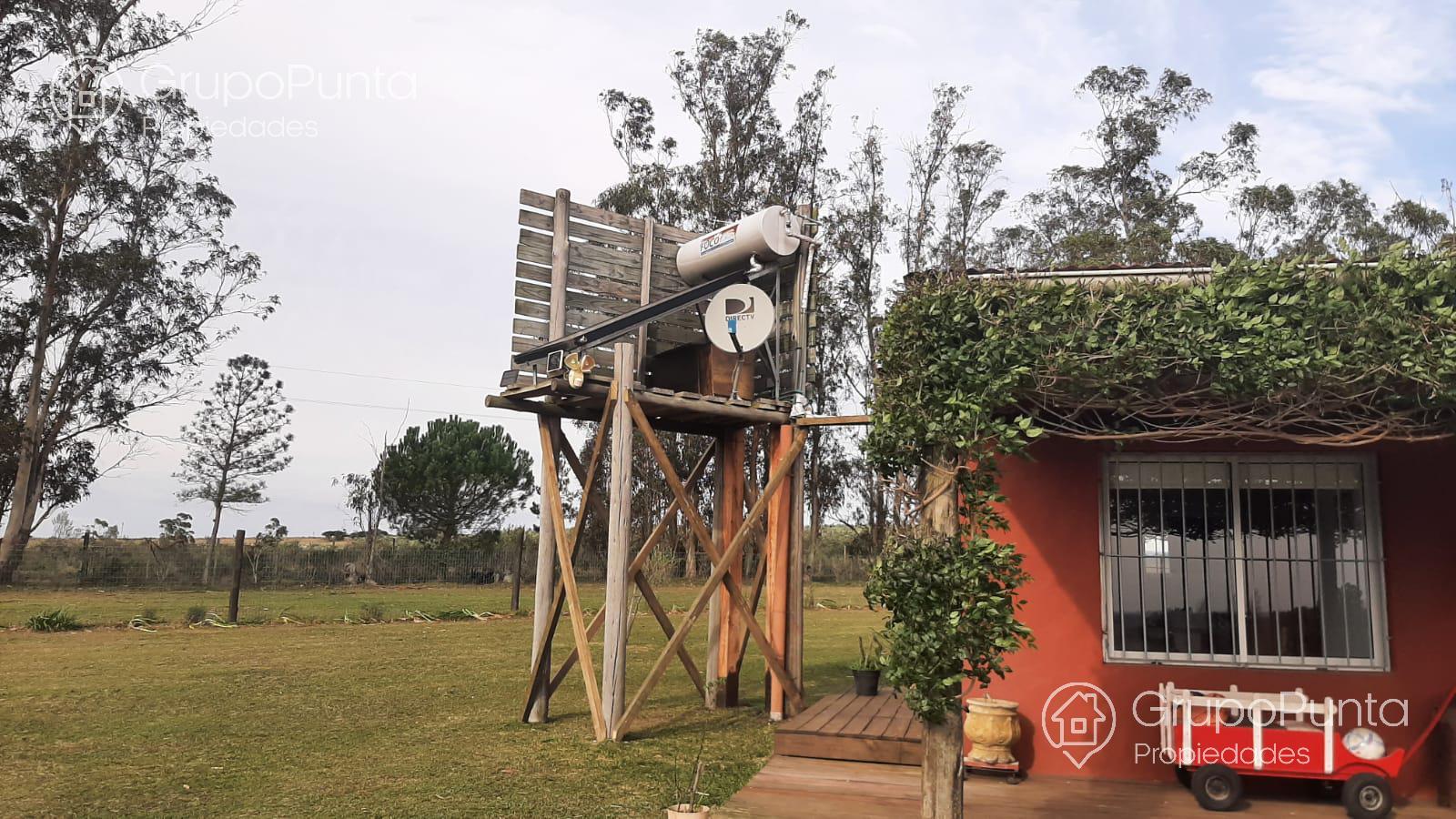 Chacra De 5 Hectáreas Ruta 12 Alquiler Anual y Venta · Foto 12