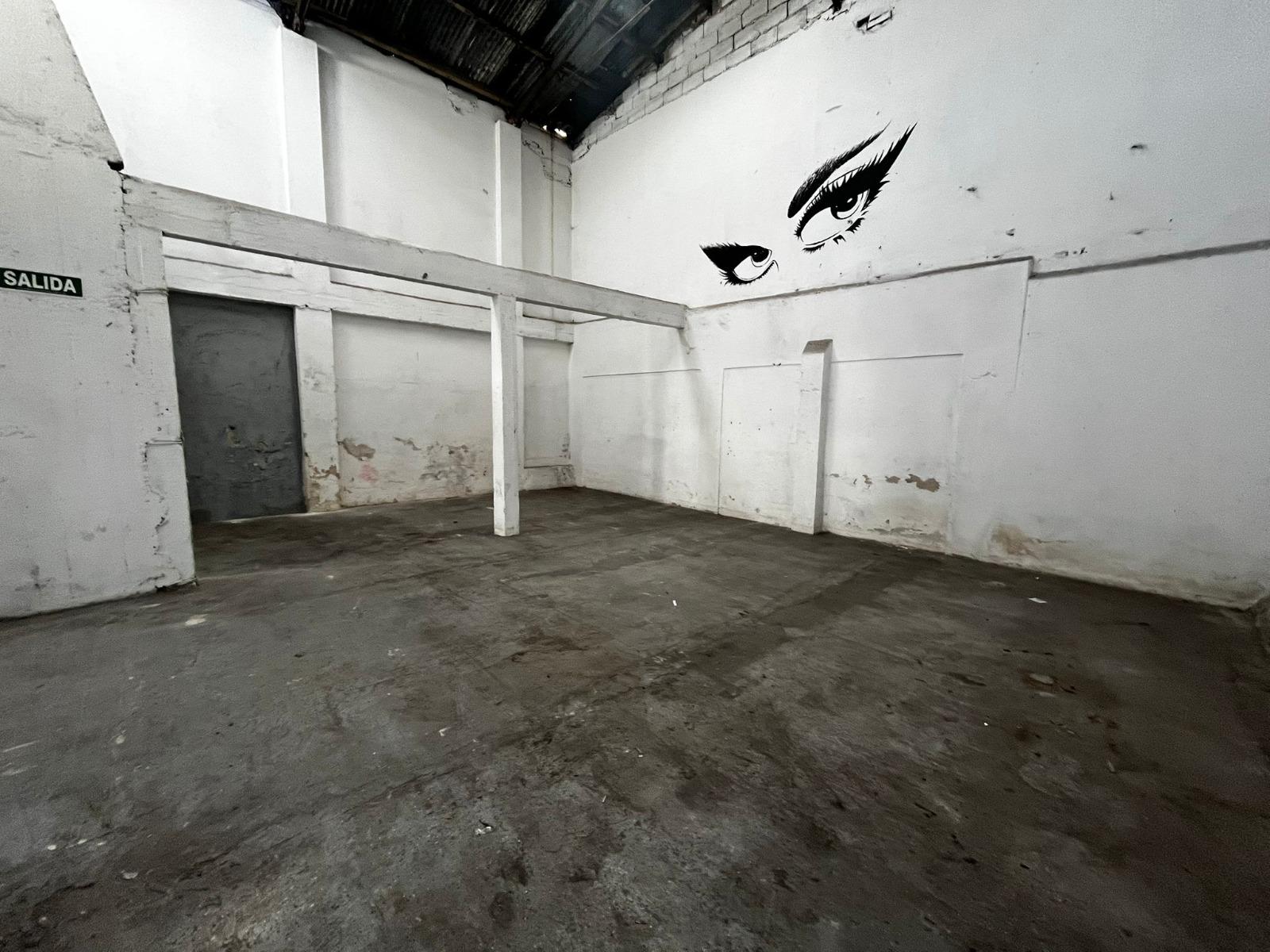 Veracierto y Zumaran, 390 M2, Vig 24 Hs, zona habilitada para transito de contenedores!! · Foto 9