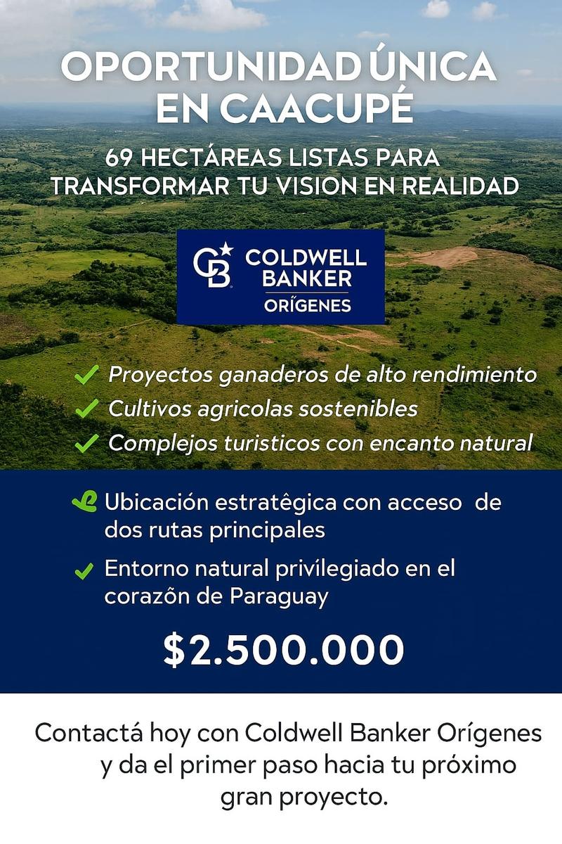 Campo en venta de 69 hectáreas en Caacupé — foto 2