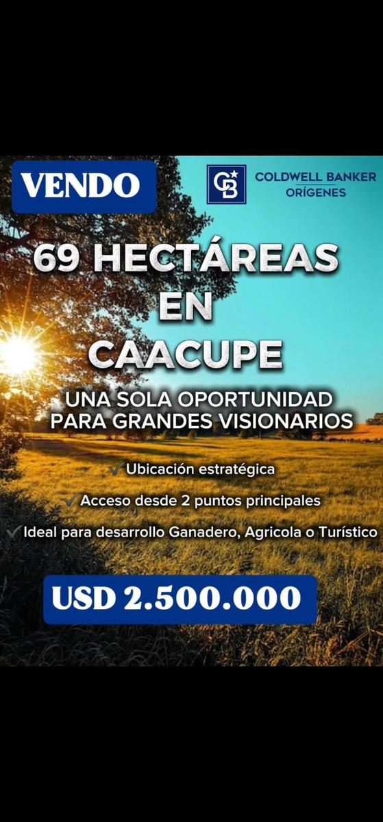 Campo en venta de 69 hectáreas en Caacupé — foto 3