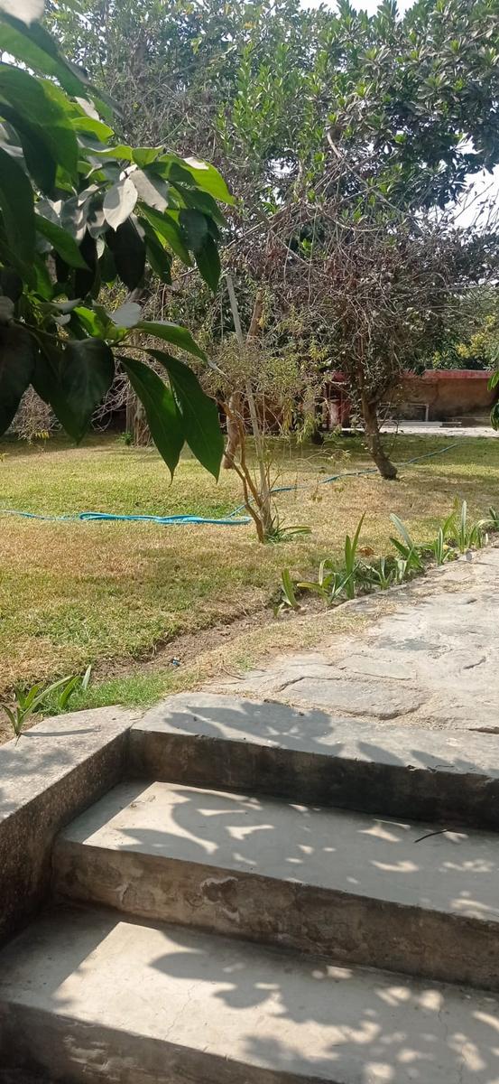 Imagen 3 de Casa