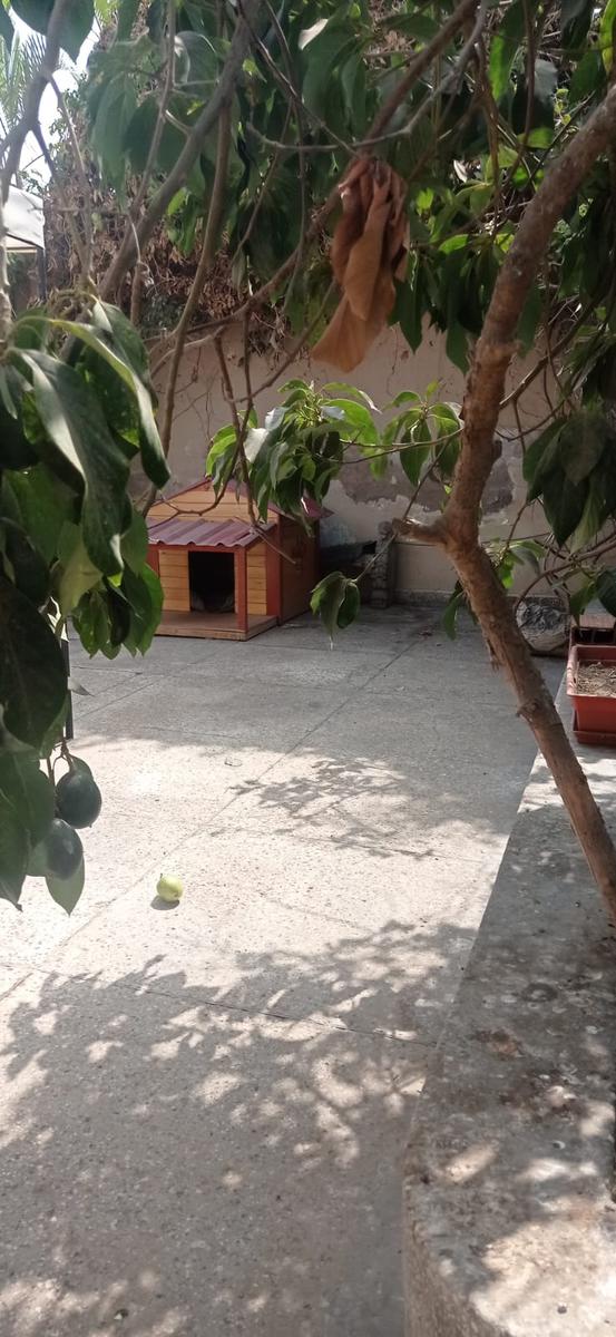 Imagen 4 de Casa