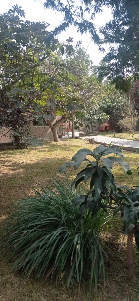 Imagen 6 de Casa