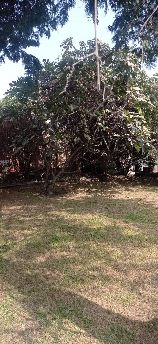 Imagen 8 de Casa