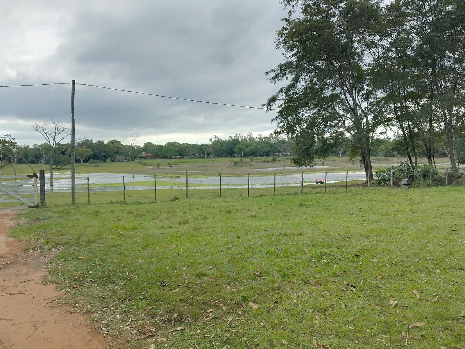 Quinta en venta 19,2 Has Zona Tavaí Pirayú — foto 2