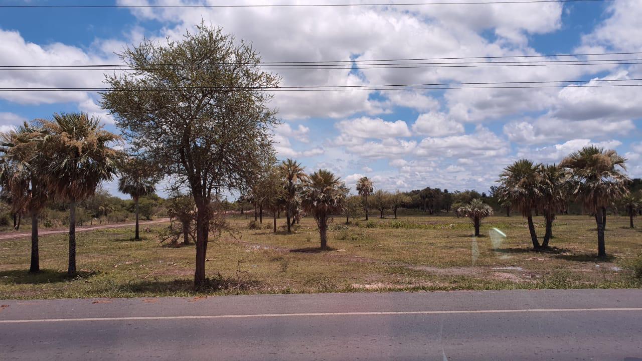 Terreno en venta 720 m2 Zona Chaco'í  Villa Hayes — foto 2