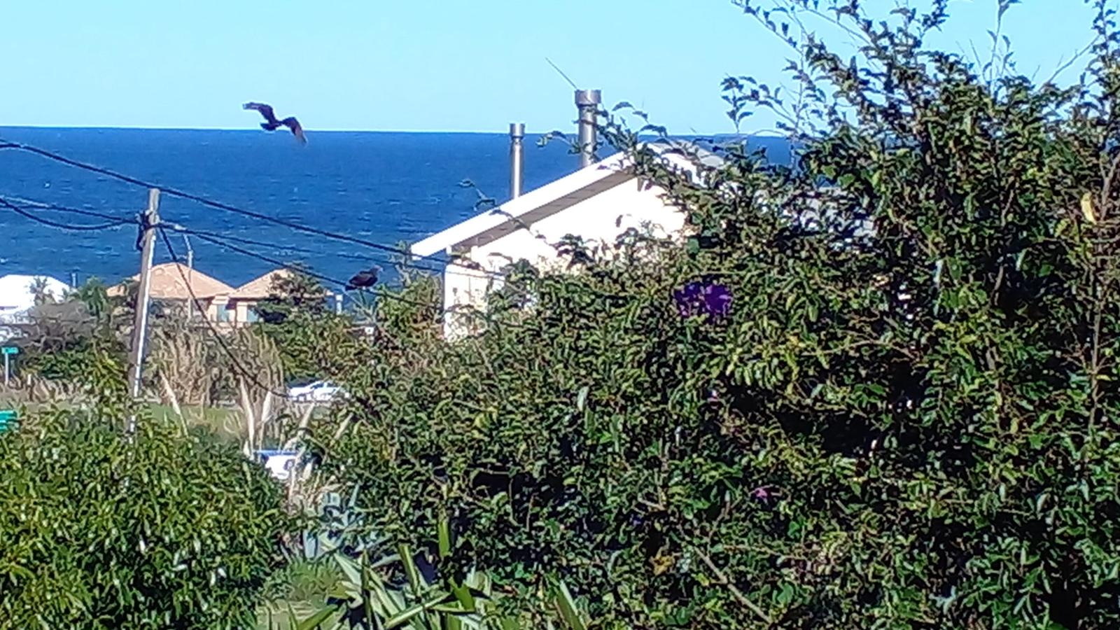 Foto 5 de 20