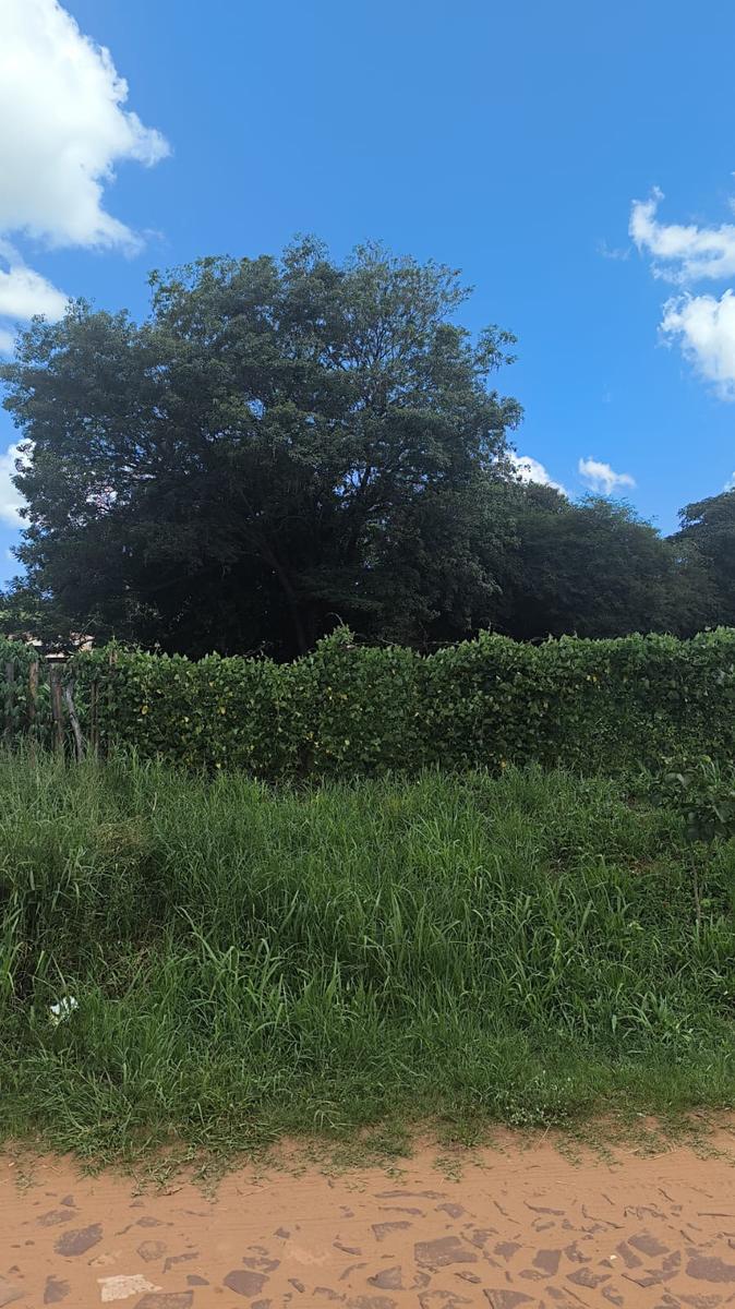 Terreno a la Venta de 480 m2 en Aregua — foto 2