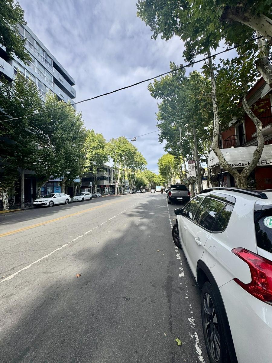 Amplio local comercial de 160m2 sobre avenida en Colonia del Sacramento · Foto 4
