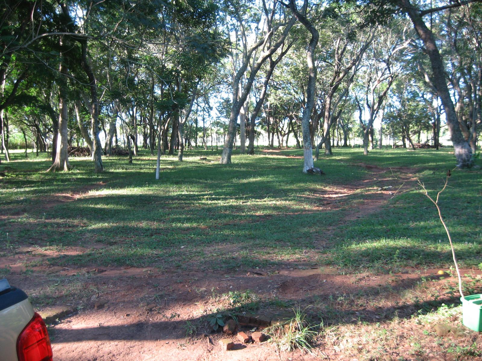 Campo en venta 54,2 ha en Tobatí Cordillera — foto 2